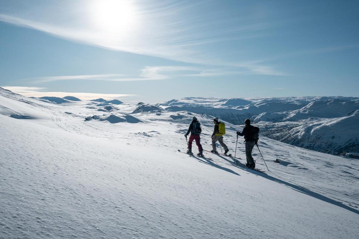 Hotel Harahorn Fjellgard Grøndalen Exteriér fotografie