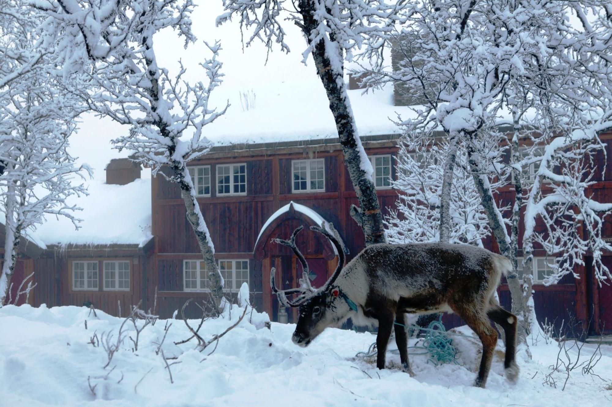 Hotel Harahorn Fjellgard Grøndalen Exteriér fotografie