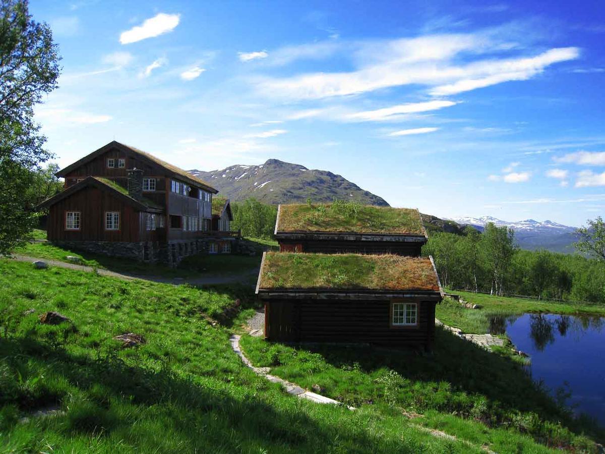 Hotel Harahorn Fjellgard Grøndalen Exteriér fotografie